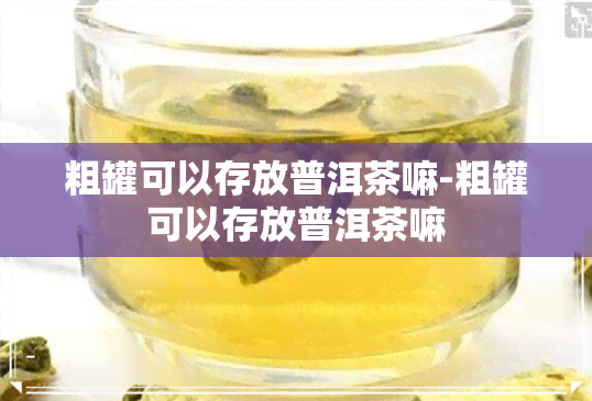 粗罐可以存放普洱茶嘛-粗罐可以存放普洱茶嘛