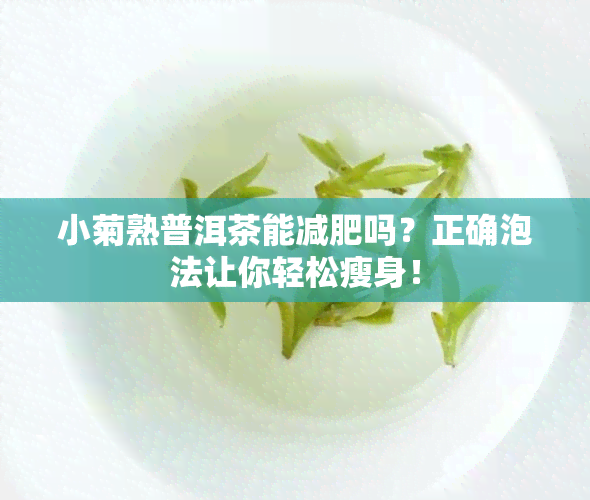 小菊熟普洱茶能减肥吗？正确泡法让你轻松瘦身！