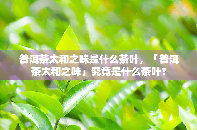 普洱茶太和之味是什么茶叶，「普洱茶太和之味」究竟是什么茶叶？