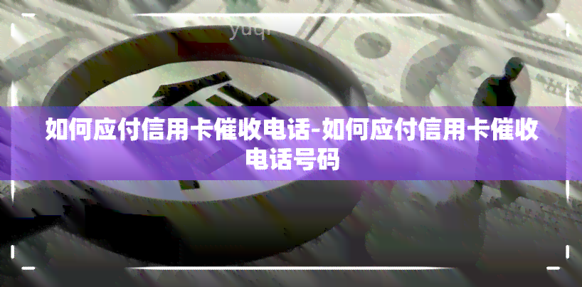 如何应付信用卡电话-如何应付信用卡电话号码