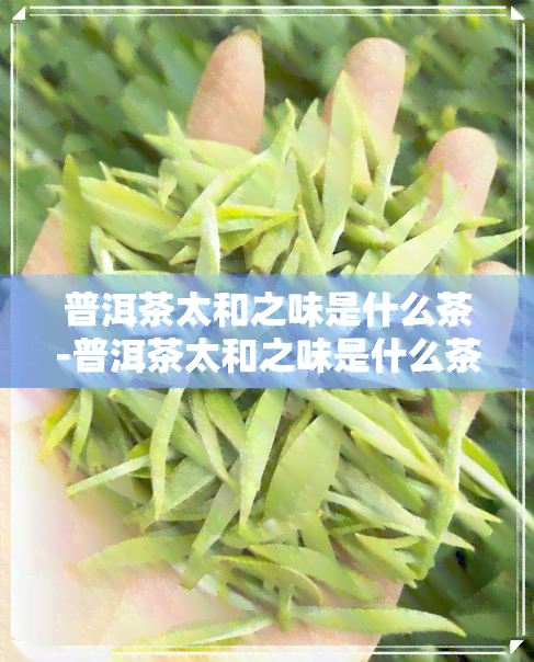 普洱茶太和之味是什么茶-普洱茶太和之味是什么茶叶