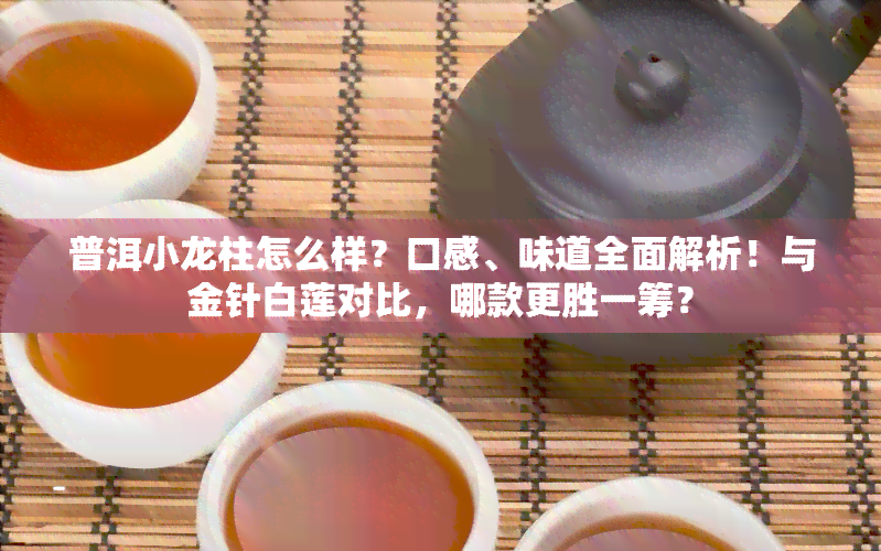 普洱小龙柱怎么样？口感、味道全面解析！与金针白莲对比，哪款更胜一筹？