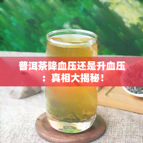 普洱茶降血压还是升血压：真相大揭秘！