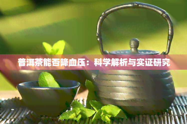 普洱茶能否降血压：科学解析与实证研究