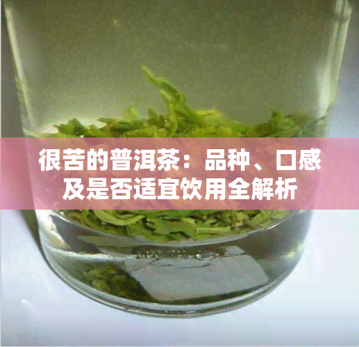 很苦的普洱茶：品种、口感及是否适宜饮用全解析