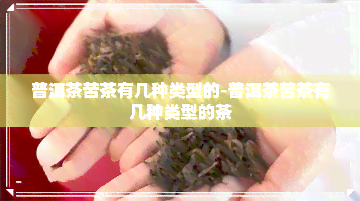 普洱茶苦茶有几种类型的-普洱茶苦茶有几种类型的茶