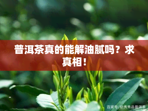 普洱茶真的能解油腻吗？求真相！