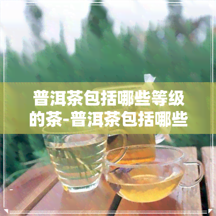 普洱茶包括哪些等级的茶-普洱茶包括哪些等级的茶类