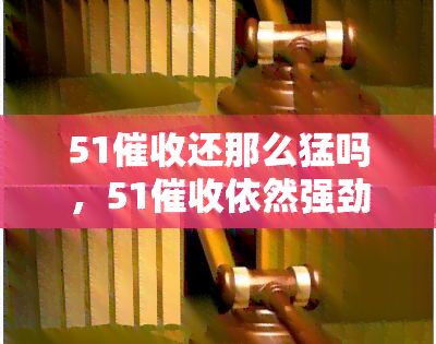 51还那么猛吗，51依然强劲：催款力度不减