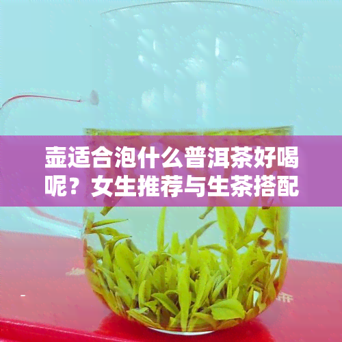 壶适合泡什么普洱茶好喝呢？女生推荐与生茶搭配的壶型及图片展示