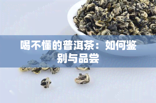 喝不懂的普洱茶：如何鉴别与品尝