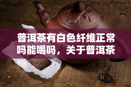 普洱茶有白色纤维正常吗能喝吗，关于普洱茶的疑惑：白色纤维出现是正常现象吗？能否安全饮用？