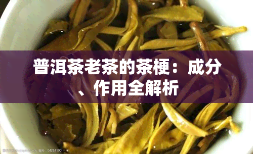 普洱茶老茶的茶梗：成分、作用全解析