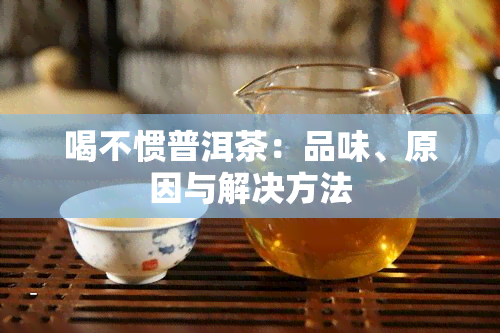 喝不惯普洱茶：品味、原因与解决方法