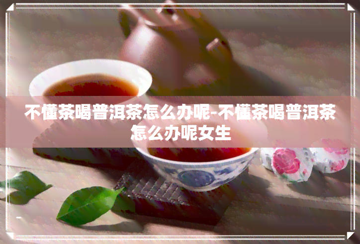 不懂茶喝普洱茶怎么办呢-不懂茶喝普洱茶怎么办呢女生