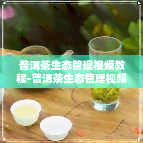 普洱茶生态管理视频教程-普洱茶生态管理视频教程全集