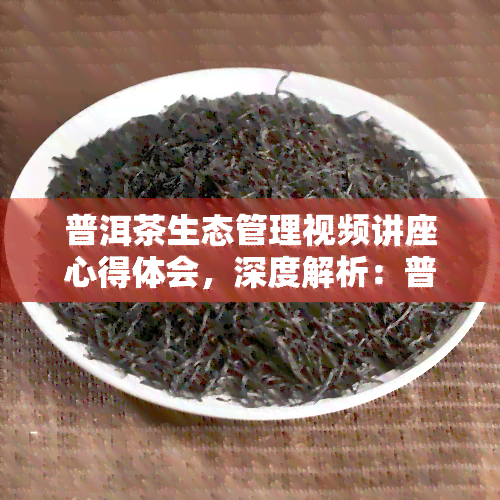 普洱茶生态管理视频讲座心得体会，深度解析：普洱茶生态管理视频讲座的心得体会