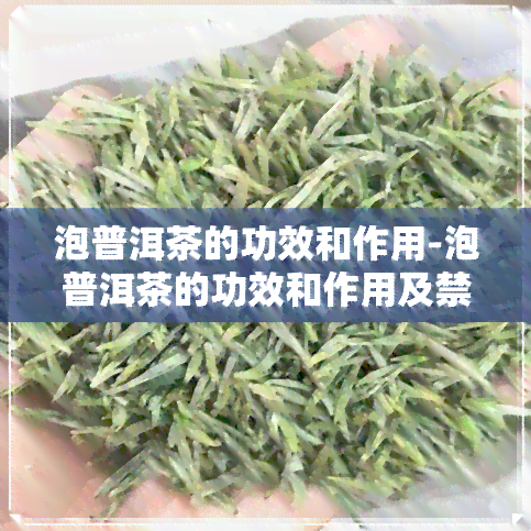 泡普洱茶的功效和作用-泡普洱茶的功效和作用及禁忌