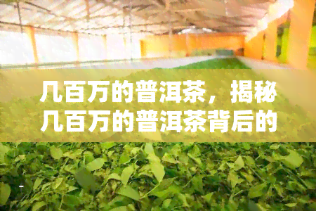 几百万的普洱茶，揭秘几百万的普洱茶背后的故事与价值