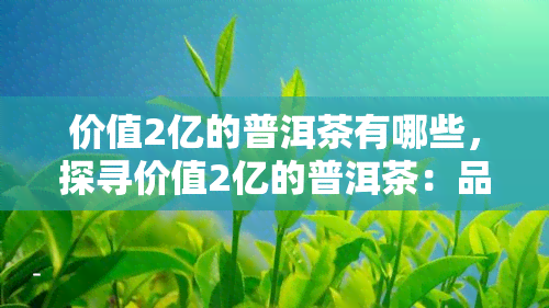 价值2亿的普洱茶有哪些，探寻价值2亿的普洱茶：品质与价格的背后故事