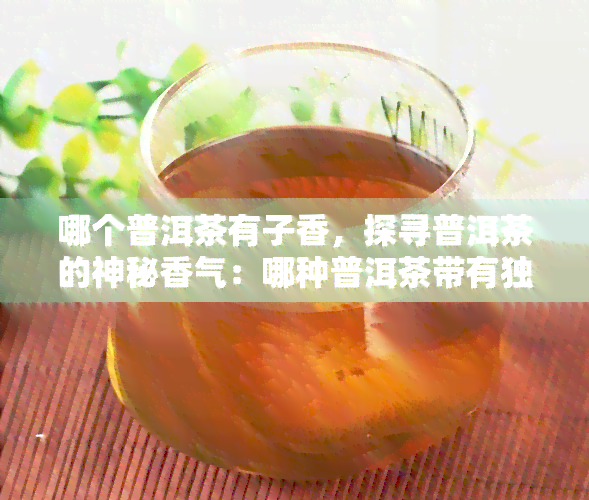 哪个普洱茶有子香，探寻普洱茶的神秘香气：哪种普洱茶带有独特的子香味？