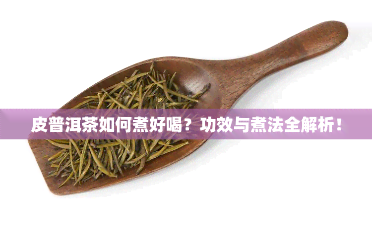 皮普洱茶如何煮好喝？功效与煮法全解析！