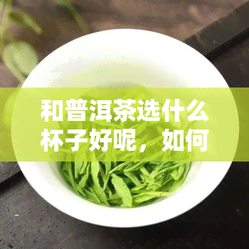 和普洱茶选什么杯子好呢，如何选择适合泡普洱茶的杯子？