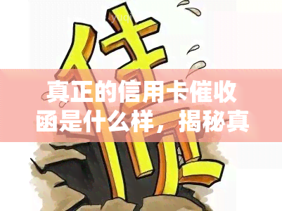 真正的信用卡函是什么样，揭秘真正信用卡函的真面目！