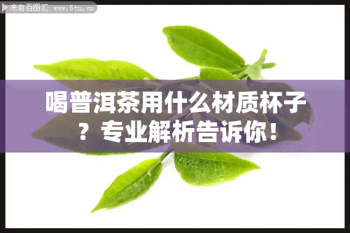 喝普洱茶用什么材质杯子？专业解析告诉你！