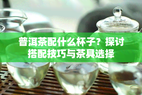 普洱茶配什么杯子？探讨搭配技巧与茶具选择