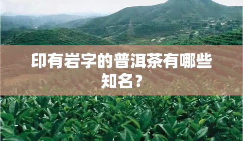 印有岩字的普洱茶有哪些知名？