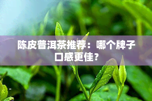 陈皮普洱茶推荐：哪个牌子口感更佳？