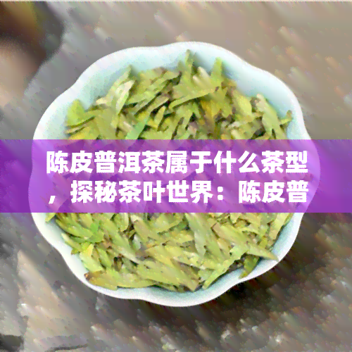 陈皮普洱茶属于什么茶型，探秘茶叶世界：陈皮普洱茶的茶型归属