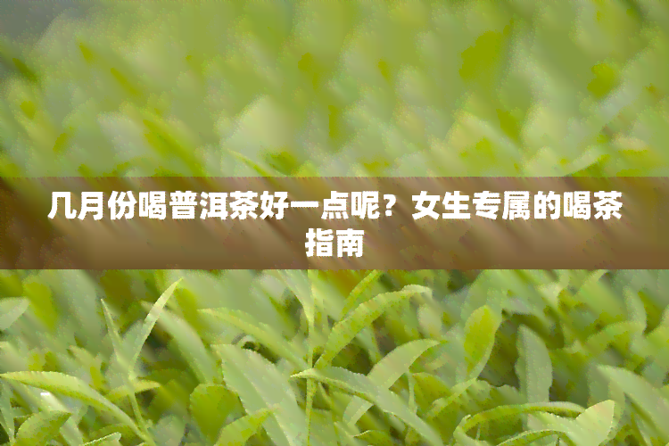 几月份喝普洱茶好一点呢？女生专属的喝茶指南