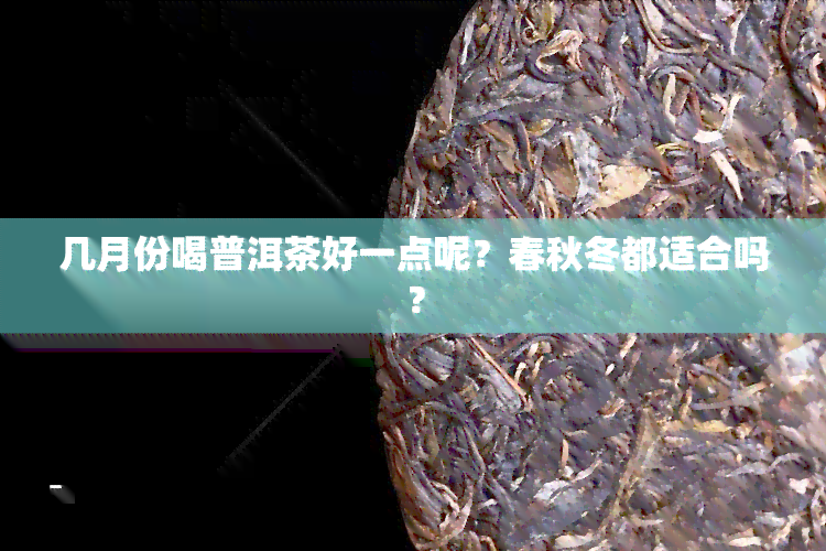 几月份喝普洱茶好一点呢？春秋冬都适合吗？