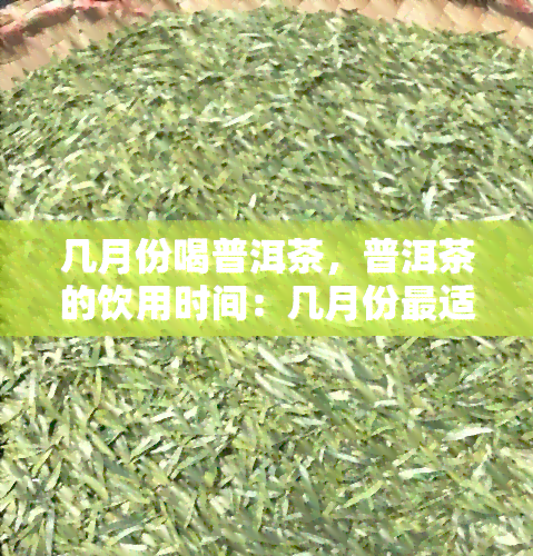 几月份喝普洱茶，普洱茶的饮用时间：几月份最适宜？