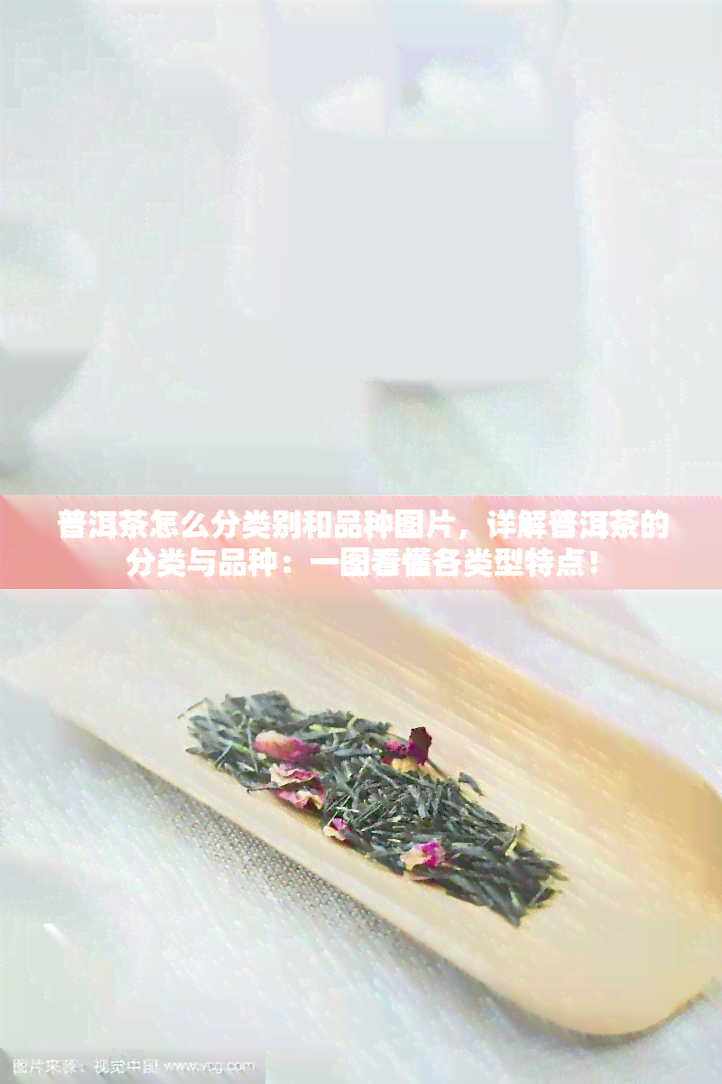 普洱茶怎么分类别和品种图片，详解普洱茶的分类与品种：一图看懂各类型特点！