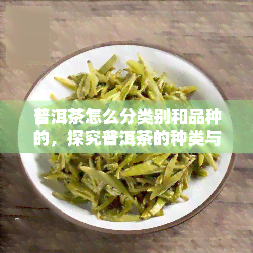 普洱茶怎么分类别和品种的，探究普洱茶的种类与品种：一文了解普洱茶分类法