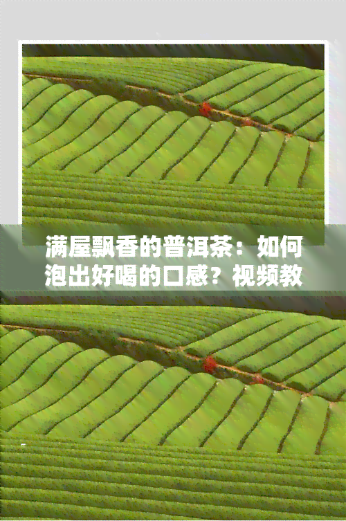 满屋飘香的普洱茶：如何泡出好喝的口感？视频教程分享