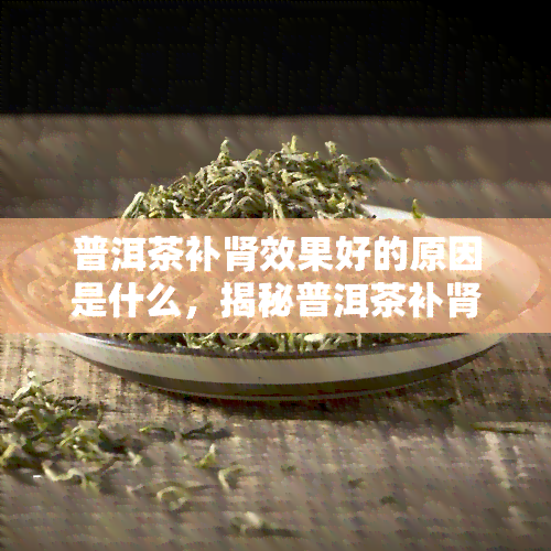 普洱茶补肾效果好的原因是什么，揭秘普洱茶补肾的奥秘：原因解析