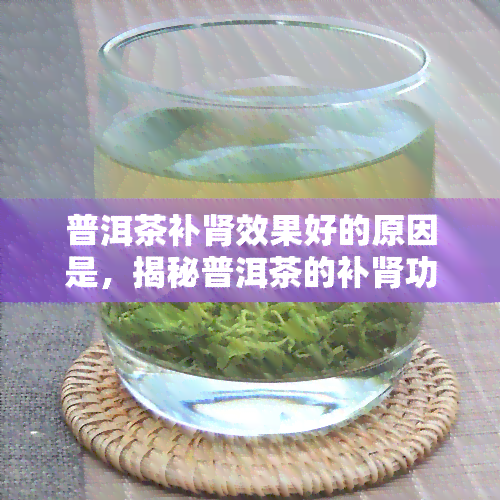 普洱茶补肾效果好的原因是，揭秘普洱茶的补肾功效：原因解析