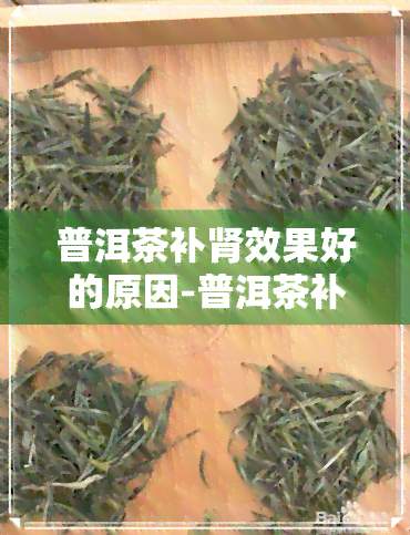 普洱茶补肾效果好的原因-普洱茶补肾效果好的原因是什么