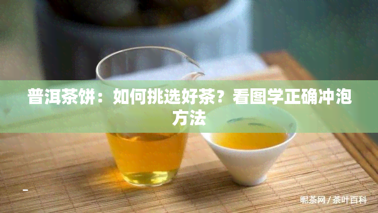 普洱茶饼：如何挑选好茶？看图学正确冲泡方法