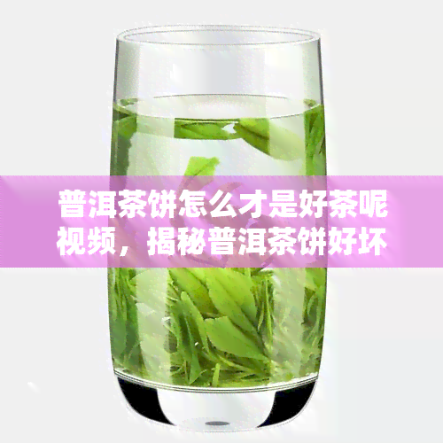 普洱茶饼怎么才是好茶呢视频，揭秘普洱茶饼好坏：视频解析选购技巧与品鉴方法