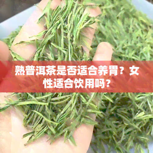 熟普洱茶是否适合养胃？女性适合饮用吗？