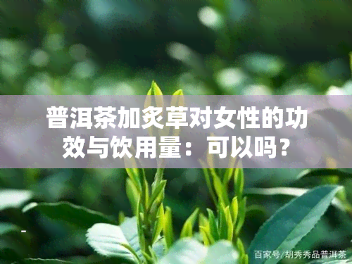 普洱茶加炙草对女性的功效与饮用量：可以吗？