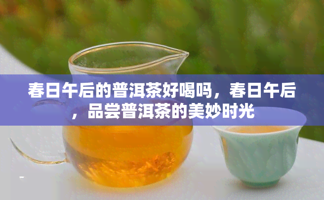 春日午后的普洱茶好喝吗，春日午后，品尝普洱茶的美妙时光