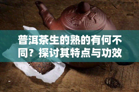 普洱茶生的熟的有何不同？探讨其特点与功效比较