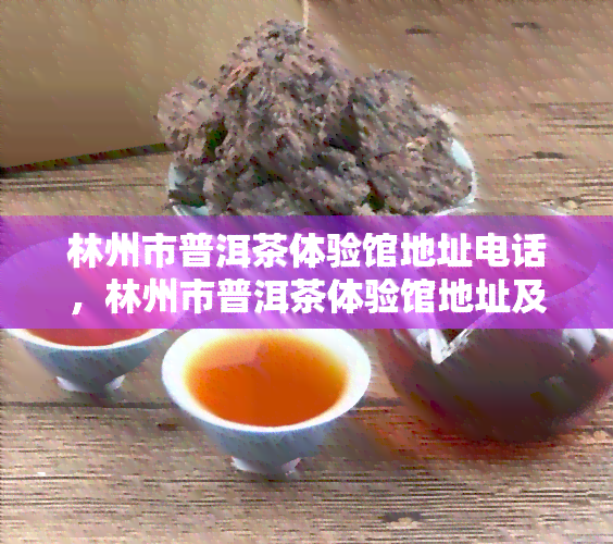 林州市普洱茶体验馆地址电话，林州市普洱茶体验馆地址及联系电话