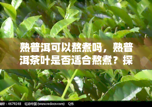 熟普洱可以熬煮吗，熟普洱茶叶是否适合熬煮？探讨其熬煮方法与技巧